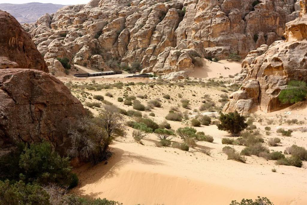 Ammarin Bedouin Camp Hotel Wadi Musa Exterior foto