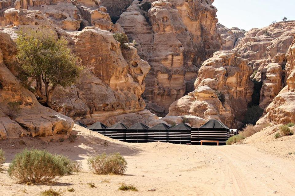 Ammarin Bedouin Camp Hotel Wadi Musa Exterior foto