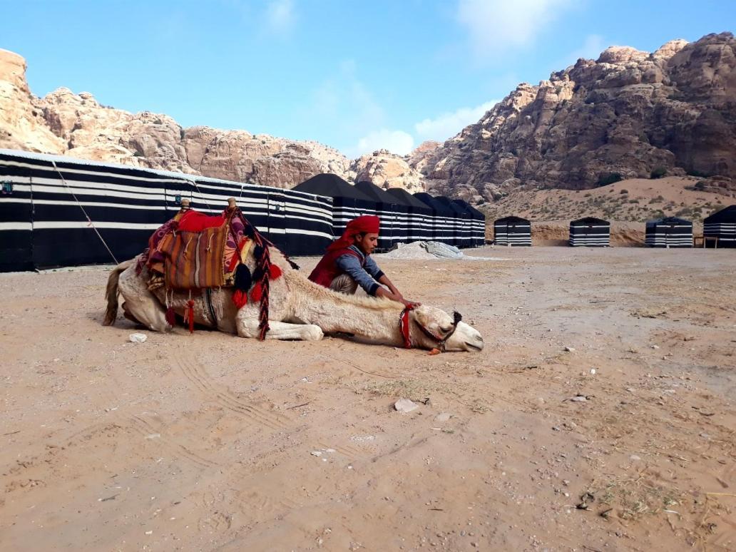 Ammarin Bedouin Camp Hotel Wadi Musa Exterior foto